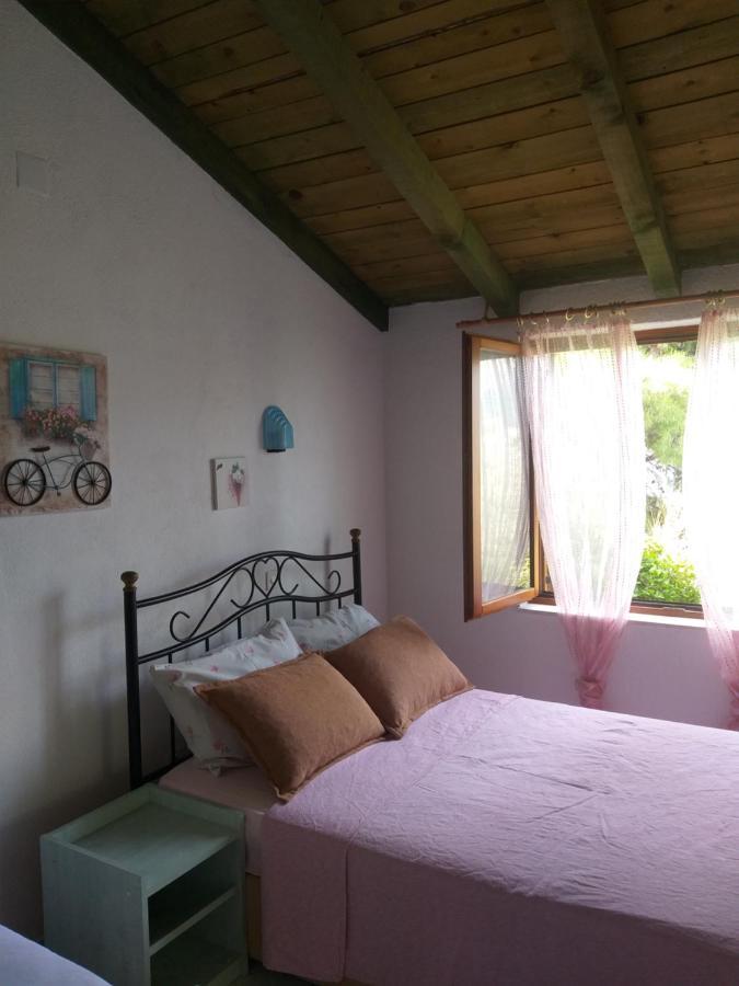 Direkt Na Moru - Bungalov Apartment Sibenik Ngoại thất bức ảnh