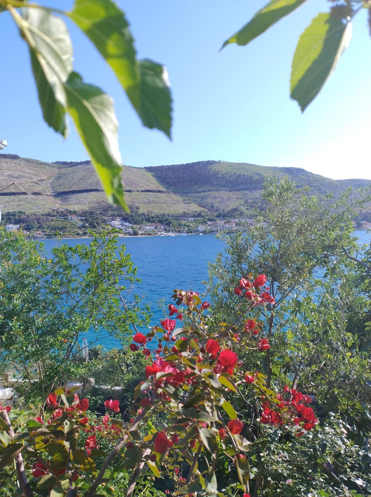 Direkt Na Moru - Bungalov Apartment Sibenik Ngoại thất bức ảnh